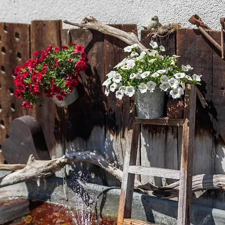 Haus Fliri Apartment *